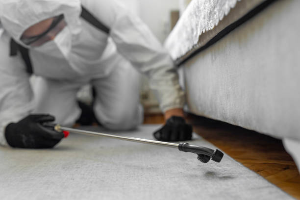 Professional Bed Bug Control technician working in Washington, IL