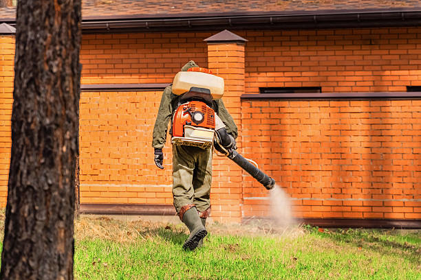 Trusted Rodent Control service in Washington, IL - Nex Pest Control